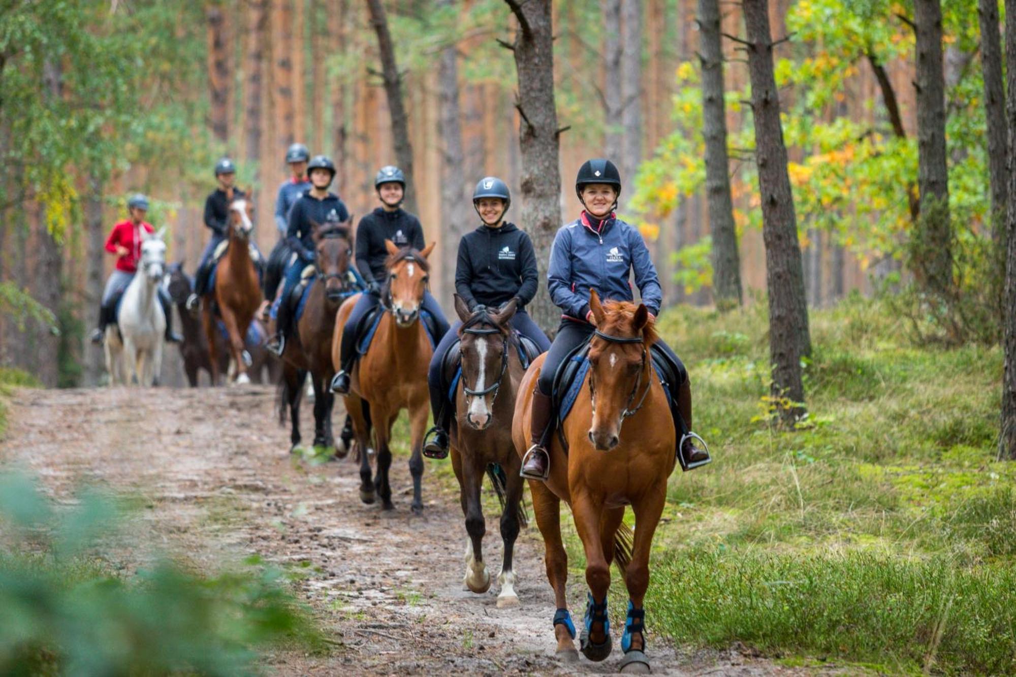 Pensjonat Iskra Sztum Buitenkant foto